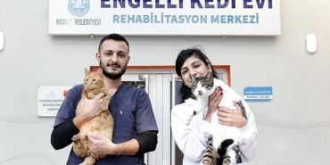konakin-engelleri-asan-kedi-evinden-sahiplenme-cagrisi.jpg