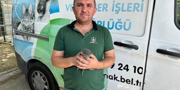 konakta-copten-umut-dogdu.jpg