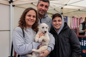 konaktan-patili-dostlari-sahiplendirme-etkinligi-yeni-yila-sicak-yuvalarinda-girecekler.jpg