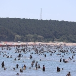KOSKEM 1 haftada 202 can kurtardı