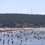 koskem-ile-54-kisi-hayata-tutundu.jpg