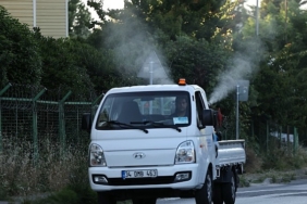 kucukcekmecede-sivrisineklere-karsi-mucadele-yogunlasti.jpg