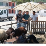 kurban-satis-alanlarinda-denetim.jpg