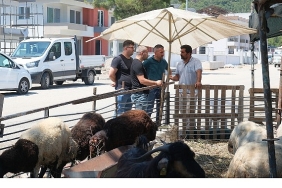 kurban-satis-alanlarinda-denetim.jpg