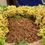 Kuru meyve sektöründe 12 ihracat şampiyonunun 11’i Egeli