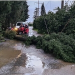 Menderes Belediyesi Yoğun Yağışlarda Sahada