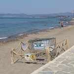 mendereste-caretta-caretta-heyecani.jpg