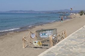mendereste-caretta-caretta-heyecani.jpg