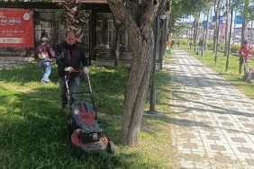 mendereste-ot-seferberligi.jpg
