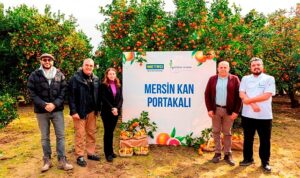 metro-turkiye-cografi-isaret-tesciline-aday-mersin-kan-portakalinin-izinde-9UtfkInV.jpg