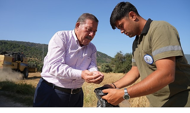 milas-belediyesi-karakilcik-bugday-hasadi-gerceklestirdi.jpg