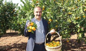 narenciye-sektoru-kktcde-gorulen-yesillenme-hastaliginin-turkiyeye-sicramamasi-icin-topyek-n-mucadele-istiyor-uhRZQsOS.jpg