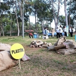 Orman ekosisteminde atıkların tehlikesi uygulamalı gösterildi