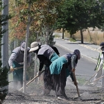 orta-refujler-modern-bir-gorunume-kavusuyor.jpg