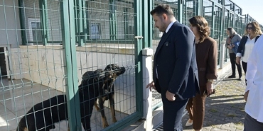 patili-dostlara-miniklerden-ziyaret.jpg
