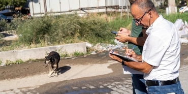 sahipsiz-kopek-populasyonu-yonetimi-izmir-eylem-plani-uygulaniyor.jpg