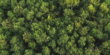 samsung-electronics-2024-yili-surdurulebilirlik-raporunu-yayinladi.jpg