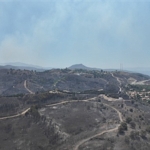 seferihisar-ve-menderes-yanginlarinin-bilancosu-agir.jpg