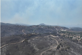 seferihisar-ve-menderes-yanginlarinin-bilancosu-agir.jpg