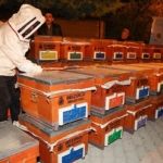 selcuklu-belediyesi-arili-kovan-destegi-projesini-4-kez-duzenledi.jpg