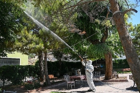 selcuklu-belediyesi-yesil-alan-ilaclamalarini-dis-mahallelerde-de-surduruyor.jpg