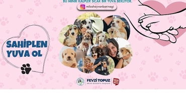sevimli-dostlarimiz-sicak-yuvalarini-bekliyor.jpg