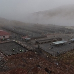 Sokak Hayvanları İçin Modern, Sağlıklı ve Doğal Yaşam Projesi Başladı