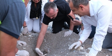 son-caretta-caretta-yuvalari-acildi.jpg