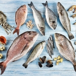 Su ürünleri ve hayvansal mamuller ihracatının yüzde 47’si Ege Bölgesi’nden yapıldı