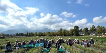 tabipte-uretimden-markalasmaya-uzanan-hasat.jpg