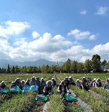 tabipte-uretimden-markalasmaya-uzanan-hasat.jpg