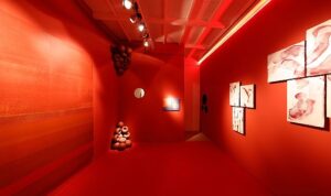 tam-mat-renkler-nippon-paintin-yeni-serisi-deepmattta-Kx9AxkZP.jpg