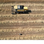 Tarımda verimlilik Büyükşehir’le artıyor