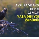 the-killing-3-0-raporuna-gore-kuslarin-yasa-disi-oldurulmesi-artiyor.jpg