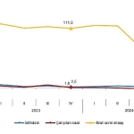 Tüik: İstihdam endeksi yıllık %2,6 arttı