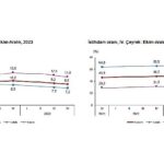 TÜİK: Mevsim etkisinden arındırılmış işsizlik oranı %8,8 seviyesinde gerçekleşti