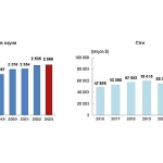 Tüik: Türkiye’de yerleşik girişimler tarafından yurt dışında kontrol edilen girişimlerin elde ettiği ciro 2023 yılında 85 milyar 801 milyon dolar oldu