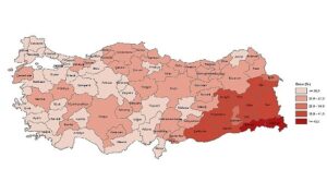 tuik-yuksekogretim-mezunlarinin-orani-25-yas-ve-uzeri-nufusta-246-oldu-igVMVqSp.jpg