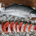 Türk somonu ihracatı 5 yılda 17 kat arttı