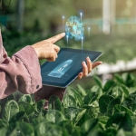 Türkiye’de Tarımsal Süreçler Dijitalleşiyor!