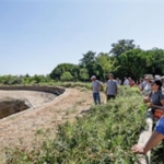 uc-nesil-dogal-yasam-parkinda-bulustu.jpg