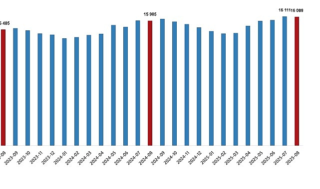 ucretli-calisan-istatistikleri-agustos-2025.jpg