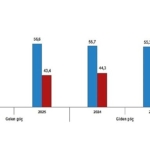 uluslararasi-goc-istatistikleri-2025.jpg