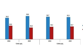 uluslararasi-goc-istatistikleri-2025.jpg