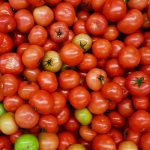 Domatesin Faydaları Nelerdir – Domatesin Vitaminleri