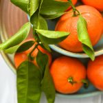 Mandalinanın Faydaları Nelerdir – Mandalinanın Vitaminleri