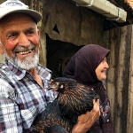 Üreticiye yüzde 50 hibeli yumurta tavuğu desteği