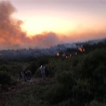 urlada-yangin-kontrol-altina-alindi.jpg