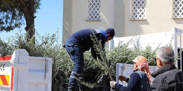 urlada-zeytin-seferberligi-20-mahalleye-fidan-destegi.jpg