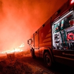 yanginlari-sondurmek-icin-canlarini-siper-ettiler.jpg